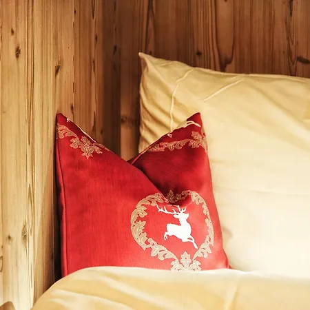 Almrausch Daire Ischgl