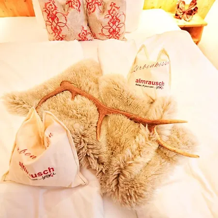 Almrausch Appartamento *